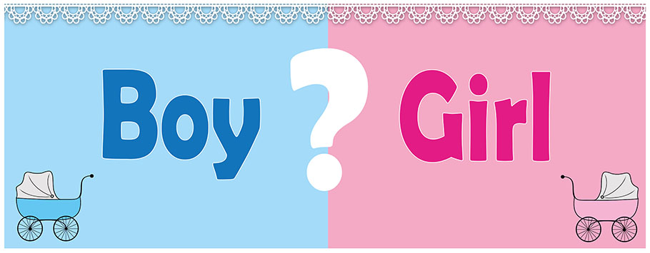 Baby Gender Reveal Pram Personalised Banners
