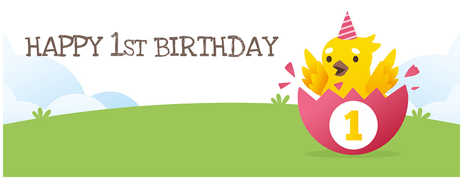 1st Birthday Little Chick Personalised Banners