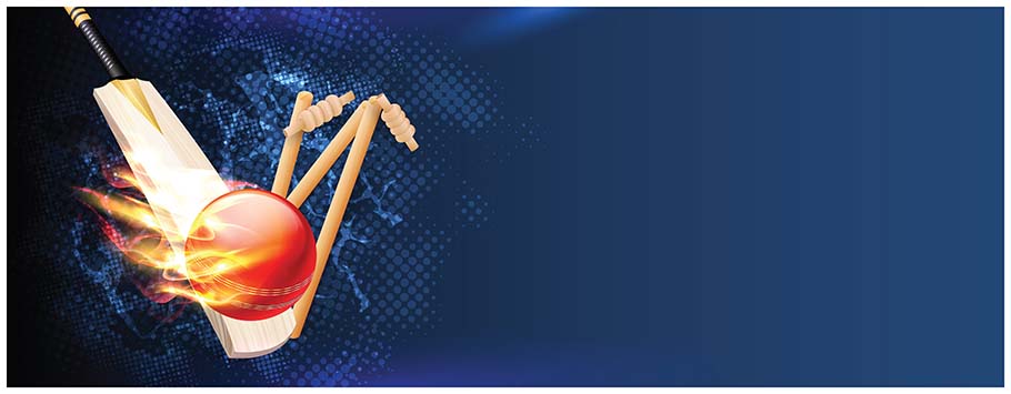 Cricket Ball Personalised Birthday Banners 