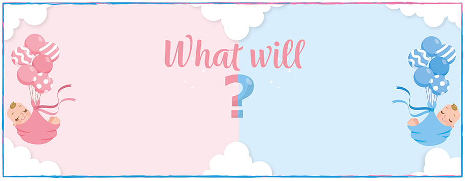 Baby Reveal He or She Baby Personalised Banners