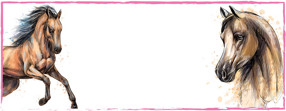 Horse Personalised Birthday Banners