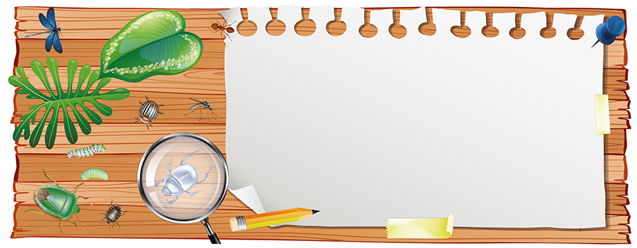 Mini Beasts Personalised Birthday Banners