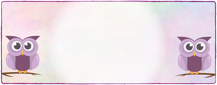 Owl Personalised Birthday Banners