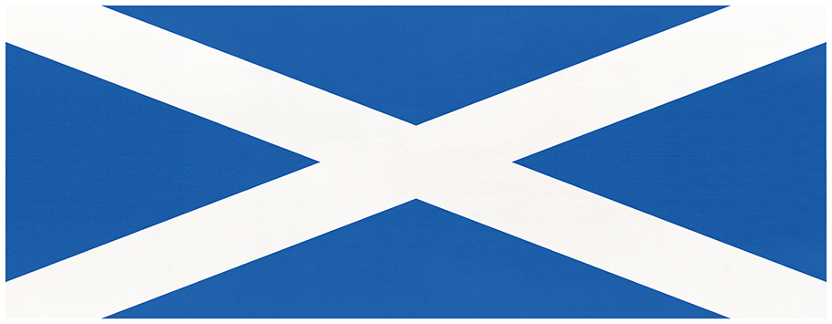 Saltire Personalised Celebration Banners